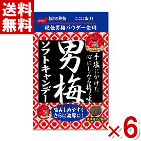 ノーベル 男梅ソフトキャンデー 35g×6袋 (ポイント消化) (np-2) (賞味期限2025.3月末) (メール便全国送料無料)