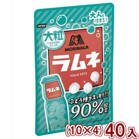 森永製菓 41g 大粒ラムネ(10×4)40入 (駄菓子 ブドウ糖 90％配合) (本州送料無料)