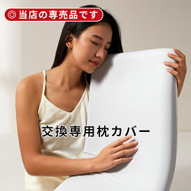 【月間優良ショップ】専用枕カバー 枕カバー ひんやり やわらか 両面仕様 洗える