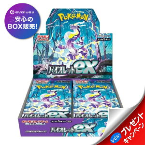 |PJ[hQ[ XJ[bg&oCIbg gpbN oCIbgex BOX VNt