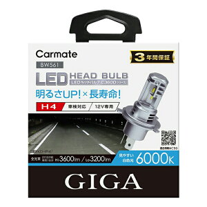 J[CgH4 BW561 GIGA ԗp LEDwbhCgC3600 6000K