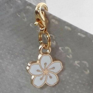 }XN`[ }XNANZT[   킢  TN tbN }XN }XNANZ