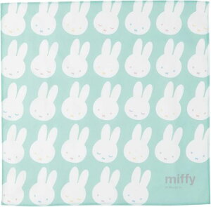 `NX~btB[JtV[xbg~btB[wObYwۈ牀ctwZj̎q̎q43x43cm5825002900