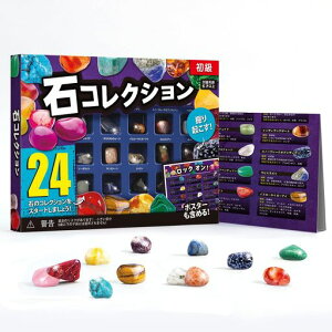 XXTOYSzΕW{24킨ΊΕW{VRz΃NX}Xv[gWFXg[E̐΃RNVbN&~lnȊwLbg24ZbgAWXgqMtg