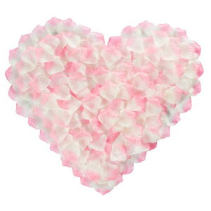 ExgoxԂт3000Zbgt[V[KNԃv|[Y茋EGfBO2ajNX}Xp[eB[p(zCgsN3000)