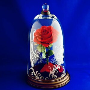 �v���U�[�u�h�t�����[�Ԃ��o�������Ɩ�b�K���X�h�[������V�R�_�C�������h�p�E�_�[�t�i���̈����ے������M�t�g�v���|�[�Y�����L�O���a�����Ȕޏ����l�ւ������C���e���A���蕨�v�c