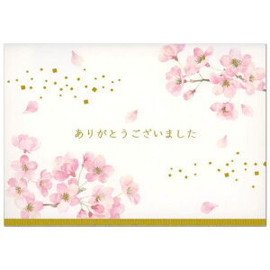 TIbZ[WJ[hwƐʍ̉ԊӃO[eBOJ[hCOAJSG18-3SANRIO869252