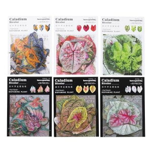 Alideco180���V�[���t���[�N�V�[���R���[�W���f�ރy�[�p�[�f�ގ����[�X���[�g�s�A�X�e�b�J�[���g�����[�t�̃e�[�}�C�O�؍��V�[���������p���m�[�g�f�ށA���L�����p�i(caiyeji)