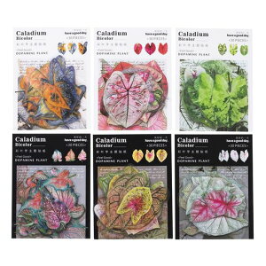 Alideco180V[t[NV[R[Wfރy[p[fގ[X[gsAXebJ[g[t̃e[}CO؍V[pm[gfށALpi(caiyeji)