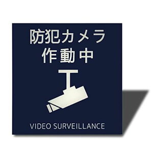 Seagron防犯カメラ作動中(イラスト型)サインプレート両面テープ付きステッカー2mmアクリル製おしゃれ耐水耐候(ブルー100x100mm(1枚))