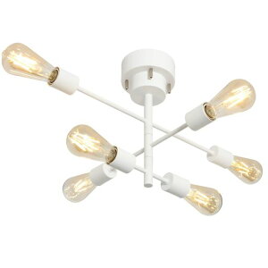 HzfluoVfAV[OCg6E26y_gCgVƖ]\X|bgCgLEDƖydʔzSgk_CjOLEDdΉHsv()