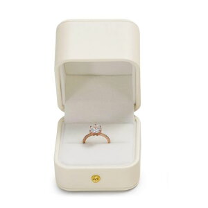 OirlvwփP[X1pwփP[XPUU[^у~jv|[YMtg[ȂǂɓKKiɑΉH15301(x[W)