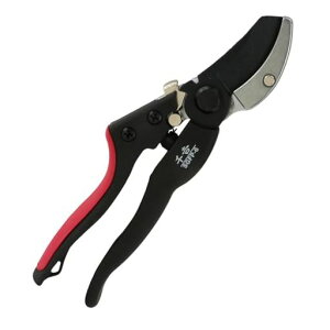 gOXt@Co[200mmChObv}SGFP-6