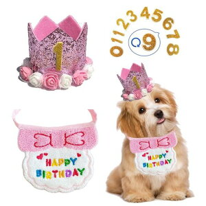 aXqhappybirthdayo_i悾ꂩtꌢLpybgaXqtaObYt^I߉\LOp[eB[(sN)