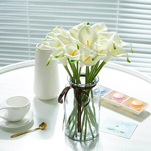 ԃI_JCEVOcallylilyAW20{ԑp[eB[lXȃCxgCeA