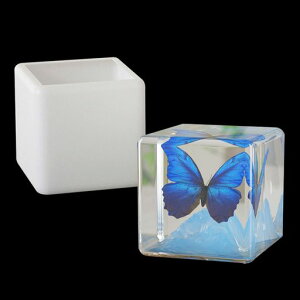 FineInno10cmW{W{`ۊp̌Œt[tA}Xg[̌`VR[hUVW^DIY[p(ۊp)