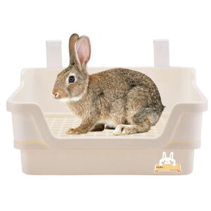 GiftygC傫lpŒ莮gC^[юUh~P[WT[NR[i[gCXmRt