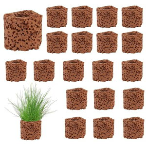 YFFSFDC水生植物固定リング20個セット水族館植物アンカー装飾陶器ホルダー水族館景観陶磁植物プランターリングツール盆栽花壇金魚水族館装飾水槽アクセサリー