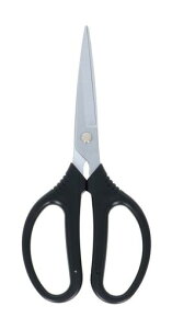 V(TAKAGI) {nt |p \ O