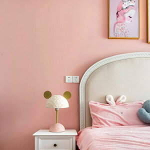 JuangfiaǎV[nǎhCNV[gǎV[gJbeBOV[gtH[V[gDIYEH[XebJ[PF60cm*10msN