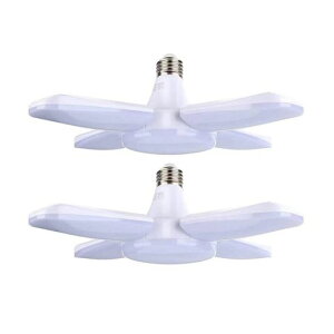 K[WCgledƓledV[OCgE26LEDd560WF6500KpCgHpCgy_gCgVƖ_CjO܂肽ݎVvHsvpx߉c