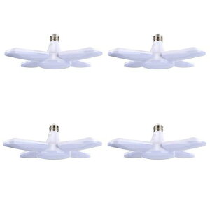 K[WCgledƓledV[OCgE26LEDd560WF6500KpCgHpCgy_gCgVƖ_CjO܂肽ݎVvHsvpx߉c