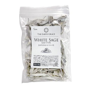 sin(V)_zCgZ[W}([t)10gJtHjAY򉻗p