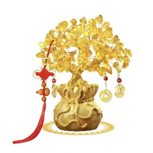 MYONEEN؍ޏ̂Ȃ؉VgACeCeA^FJ^ɐFp[Xg[VN蕨()