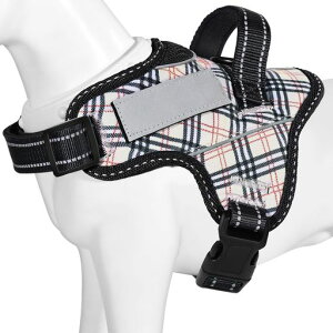 y{挢n[lXzBaoChengp֏^/^/^n[lX΍AɗDȐFʋCSȂl[v[g7FI(x[W`FbNAM)