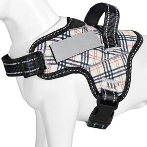 y{挢n[lXzBaoChengp֏^/^/^n[lX΍AɗDȐFʋCSȂl[v[g7FI(x[W`FbNAM)