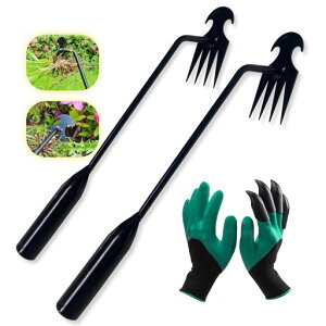 Rachil蓹GuVGG蓹Gc[|pi@N肩ܑ4y(蓹2{+|p1g)