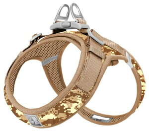 cocomallAɗDn[lX2023ŐVTRUELOVE{Xpn[lXpփhbOybgpin[lX[h3MˍޗPiC^A^A^ɌʋC߉\ĂɁc