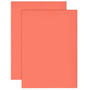 BENECREAT2A4TCY2.5mmȔSSX^vV[g296X210mm[U[H\SSubNDIYNtgX^v@pNtg(ԐF)