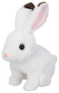 C(IWAYA)݂݃p^p^bL[drœʂݕybg3Ζ{̃TCYW90xH200xD180mm3183-1