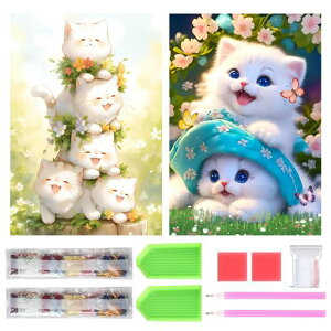 TRX_ChA[gLbg_Ch̊G2ZbgꂢSʓ\t_ChA[g5DSґl̎qDIY|LbgƂ̕ǂ̑(̔L)