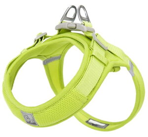 cocomallAɗDn[lX2023ŐVTRUELOVE{Xpn[lXpփhbOybgpin[lX[h3MˍޗPiC^A^A^ɌʋC߉\ĂɁc