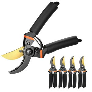 ۋA؃nT~}؂yʃXg[gWFbg͉|nT~GؐA؂nT~֐nt(ubN5)