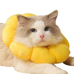 KURONEKOYAyߓ{ǗmďCzGUxXJ[L\tgNbVrߕیpD킢yʔ畆ah~(STCY)