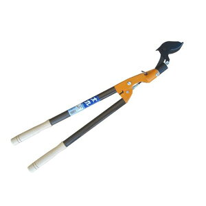 jVKLHƑ}؂΂ݑ0.8mN-152