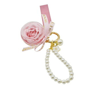 [ROSEISLAND]vU[uht[L[z_[NX}Xv[g͂Ȃԑ蕨hV̓lCFBޏꂩ킢o^CLOalCjzj̓vc