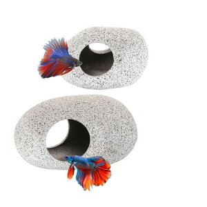 2s[Xّ̓A[X̗t̃pbhR̐nBꎔY̓A΂ዛbNnEXGrVNbhx^tBbV