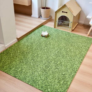^CJ[ybgAzaeahomh8mm40cmx40cm6唻ȂJ[ybguhۉ􂦂hdh_jVііgOK~DIY(YX01-177Ő)