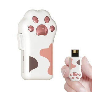 BiliousUSB킢L̑tbV^e64GBXChUSB2.0Jt2NۏؑϏՌhho(128GBsN)
