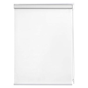 [XN[[J[eSՌ1ՌhՔMh`F[J[e[t\60x180cmzCg