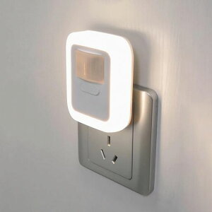 y2025VlZT[Cgz[PSE擾]铔邳(10iK)_4p^[܂ݎ̃vOVlgC?RZgCgȃGlLQ(Ic