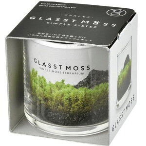 V|t//H̃ANAEۃeE͔|LbgĂ͔|Zbg(R)Ša6cmGLASSTMOSS̓v[gaGD-933