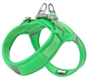 cocomallAɗDn[lX2023ŐVTRUELOVE{Xpn[lXpփhbOybgpin[lX[h3MˍޗPiC^A^A^ɌʋC߉\ĂɁc