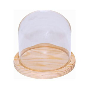 KXh[KXh[ؐx[XKXJo[KXh[fBXvCP[X12cmx12cm