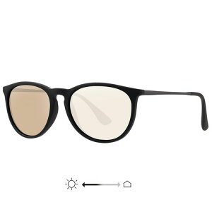 [ROTAKUMA]TOXΌYYfB[XjZbNX꒴yʐlCtr90UV400^]hCuނpsunglassformenwomen(Y/uEn)