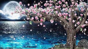VIKMKM_ChA[gLbg5D_ChhLbgUCNA[gDIYG|Lbg_CAhr[YGLbgSʓ\t^CvƂ̕ǂ̑